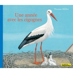 Une année avec les cigognes