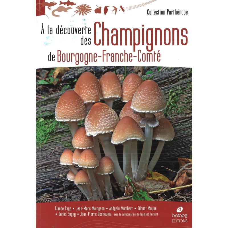 A la découverte des champignons de Bourgogne- Franche-Comté